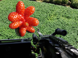 luv323 Attack of the Giant Mutant Strawberry Strain