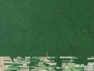 luv346 Deforestation In Bolivia